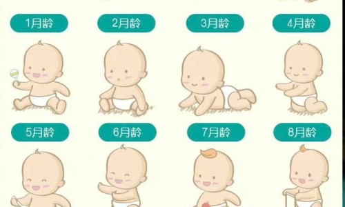 天津格林国际幼儿园学费-怎么消耗腿部脂肪网 - 为你提供减掉腿部脂肪最快的运动、减掉腿部脂肪最快的运动