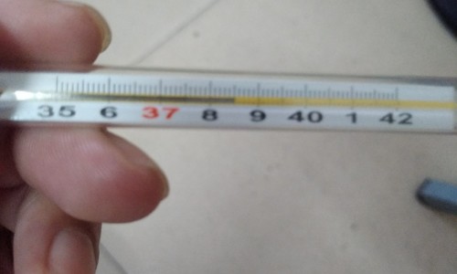 怎么消耗腿部脂肪最有效-怎么消耗腿部脂肪网 - 为你提供减掉腿部脂肪最快的运动、减掉腿部脂肪最快的运动